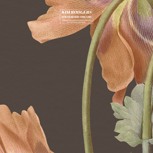 欧美顶级双拳瓶交
