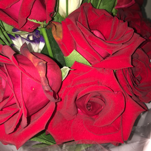 欧美顶级双拳瓶交
